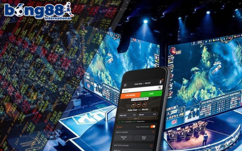 Chọn kèo cược thích hợp