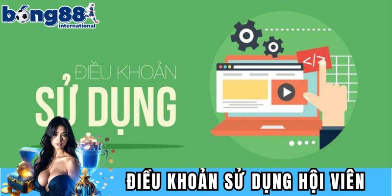 Điều khoản sử dụng nghĩa vụ hội viên
