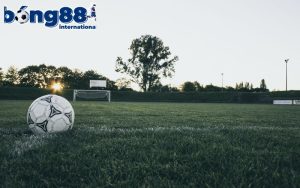 Khái niệm cơ bản về bóng cỏ là gì? 